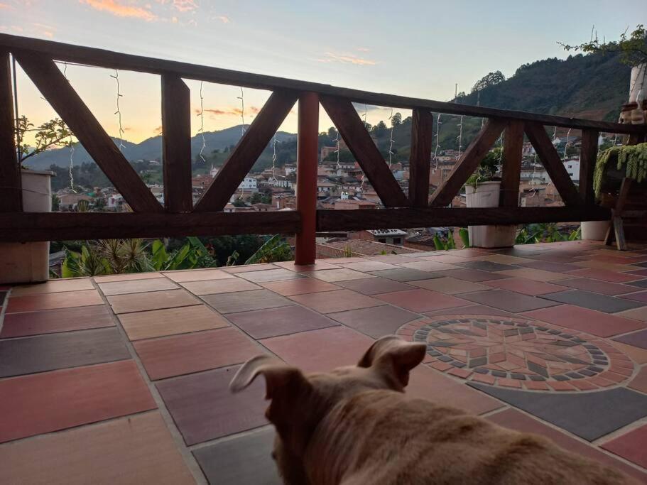 Hermoso Loft Con Terraza Appartement *